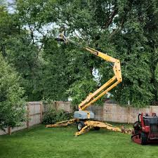 Best Utility Line Clearance  in Posen, IL